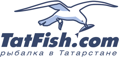 TatFish логотип