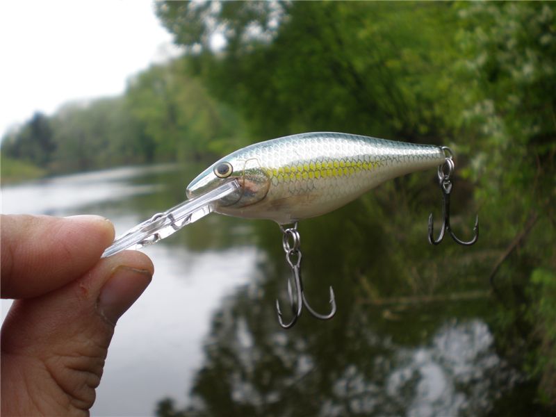 Rapala Shad.. 