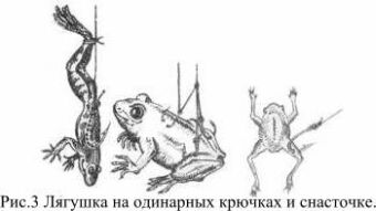Лягушка на одинарных крючках и снасточке