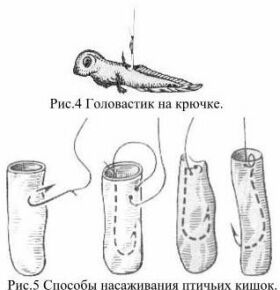 Способы насаживания птичьих кишок