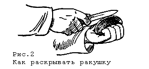 Насадка для ловли сома