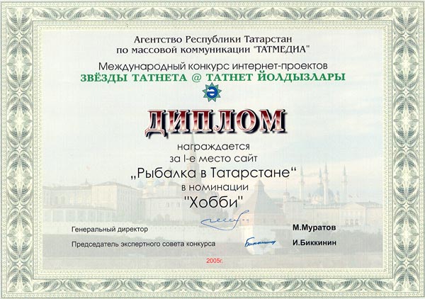 Диплом конкурса Звезды Татнета