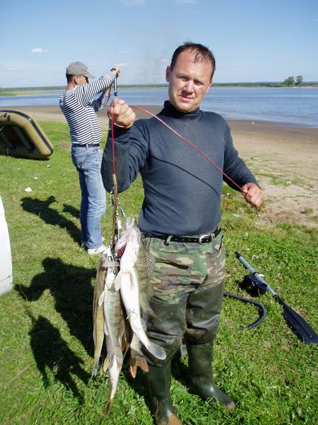 Вот такие уловы дарит настойчивым рыбакам Мёша